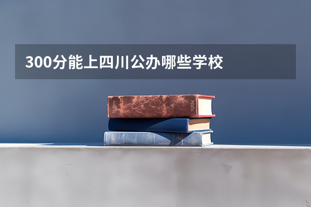 300分能上四川公办哪些学校