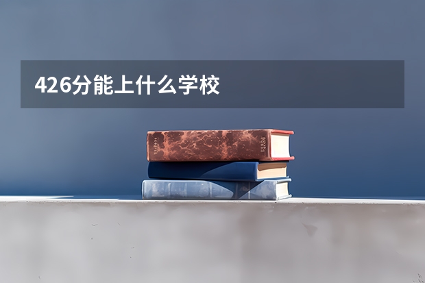 426分能上什么学校