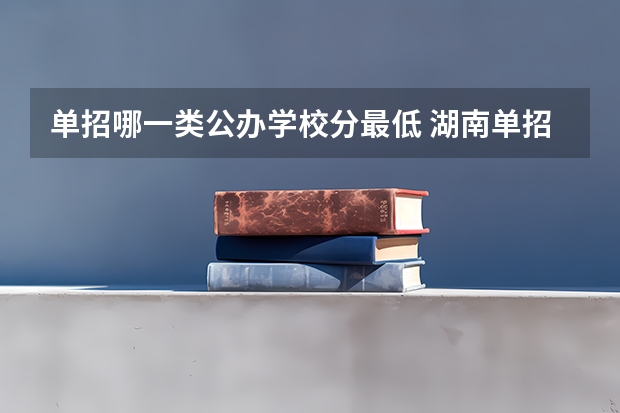 单招哪一类公办学校分最低 湖南单招分数最低的公办学校