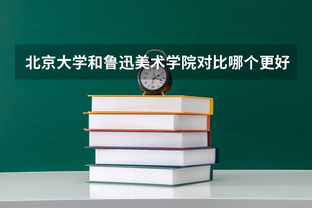 北京大学和鲁迅美术学院对比哪个更好