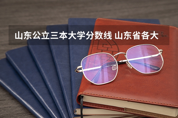 山东公立三本大学分数线 山东省各大学录取分数线