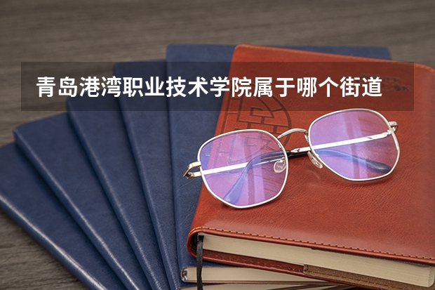 青岛港湾职业技术学院属于哪个街道