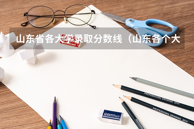 山东省各大学录取分数线（山东各个大学录取分数线）