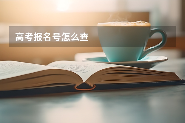 高考报名号怎么查