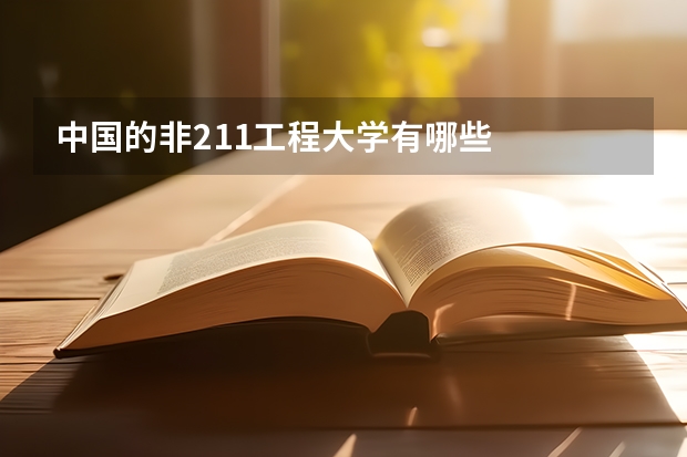 中国的非211工程大学有哪些