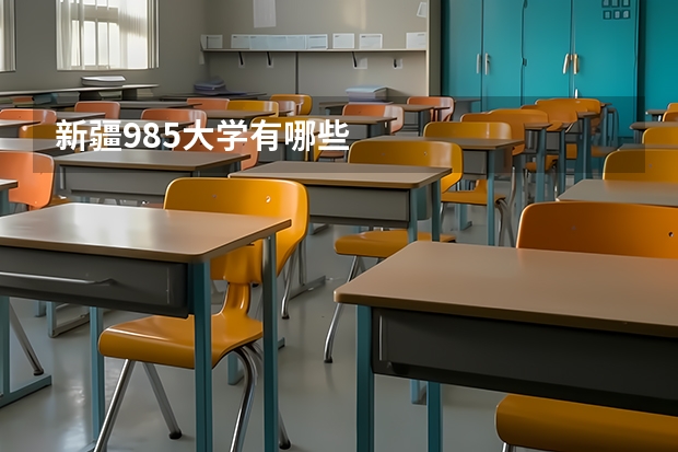 新疆985大学有哪些
