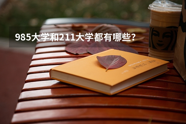 985大学和211大学都有哪些？
