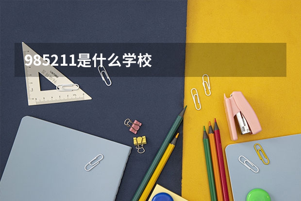 985211是什么学校