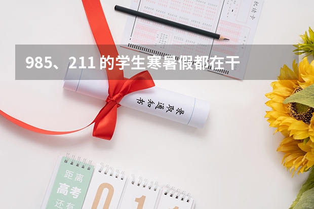 985、211 的学生寒暑假都在干什么？