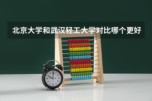 北京大学和武汉轻工大学对比哪个更好