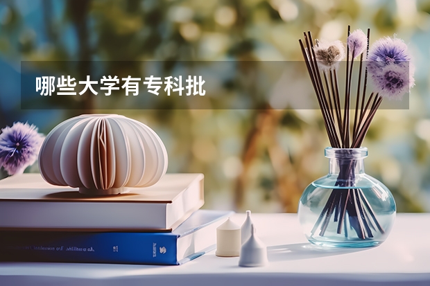 哪些大学有专科批