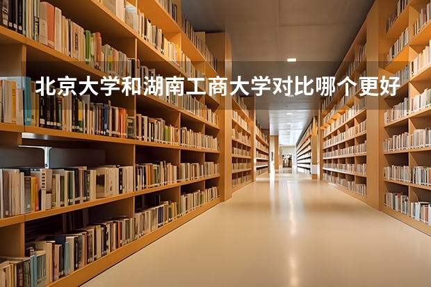 北京大学和湖南工商大学对比哪个更好