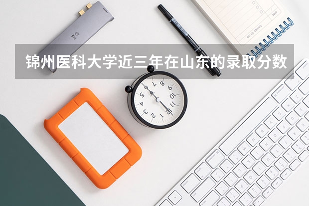 锦州医科大学近三年在山东的录取分数（锦州医科大学医疗学院录取分数线）