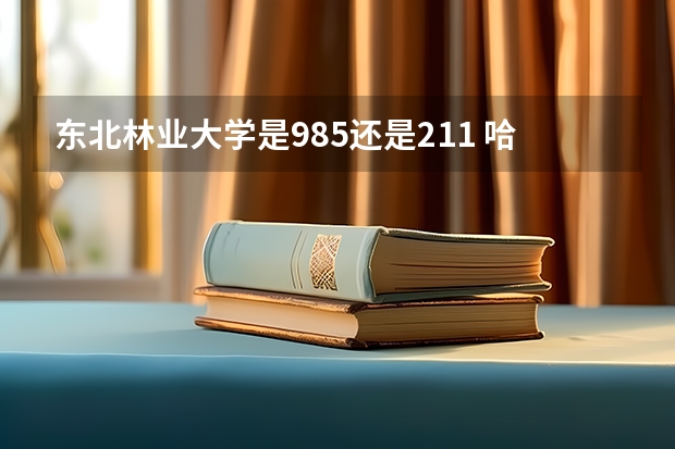 东北林业大学是985还是211 哈尔滨林业大学是211还是985