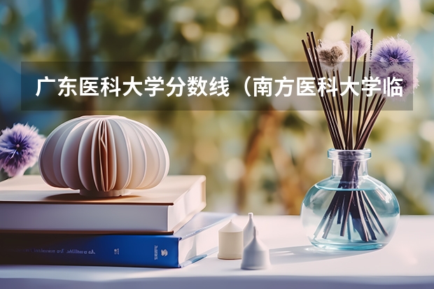 广东医科大学分数线（南方医科大学临床医学分数线）