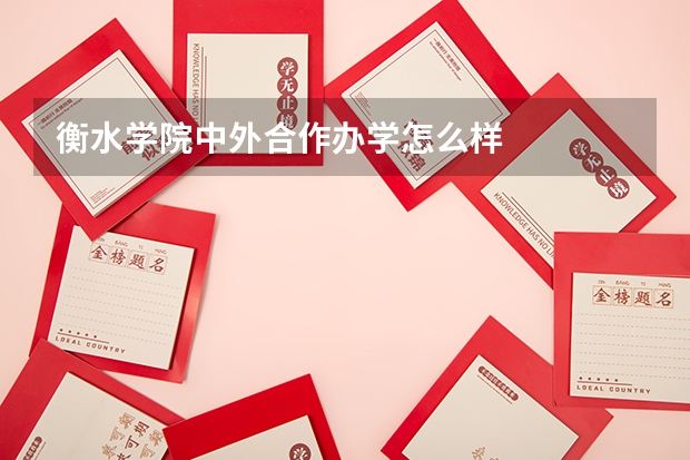 衡水学院中外合作办学怎么样