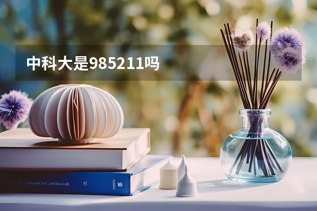 中科大是985211吗