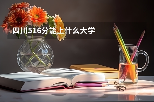 四川516分能上什么大学