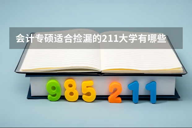 会计专硕适合捡漏的211大学有哪些？