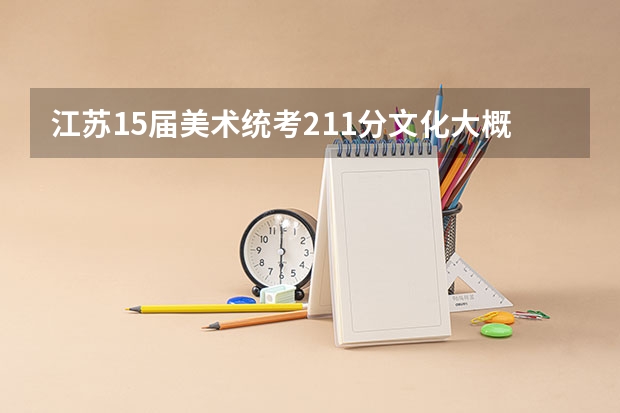江苏15届美术统考211分文化大概220分可以上哪些大学