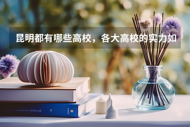 昆明都有哪些高校，各大高校的实力如何？