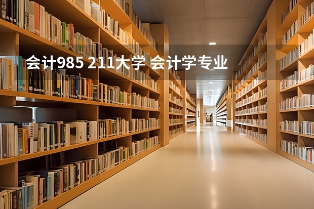 会计985 211大学 会计学专业排名？