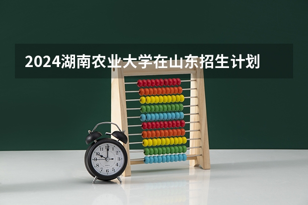 2024湖南农业大学在山东招生计划人数一览表