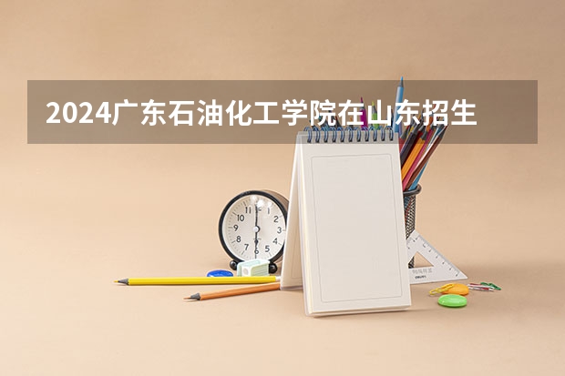 2024广东石油化工学院在山东招生计划人数一览表