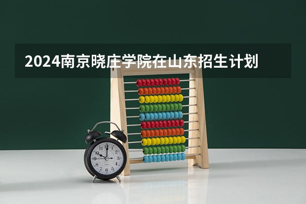 2024南京晓庄学院在山东招生计划人数一览表