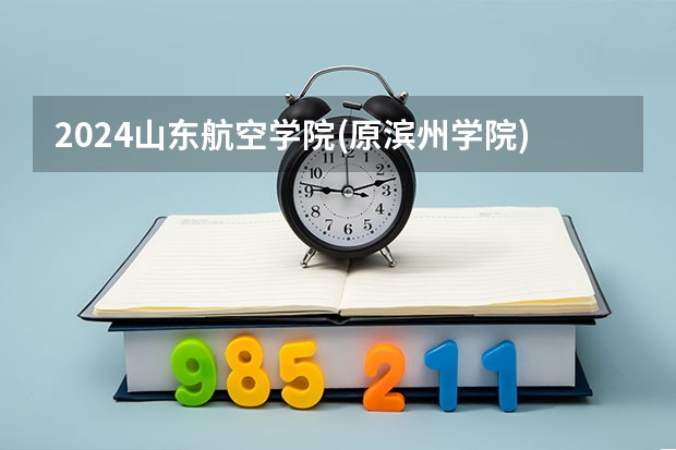 2024山东航空学院(原滨州学院)在山东招生计划人数一览表