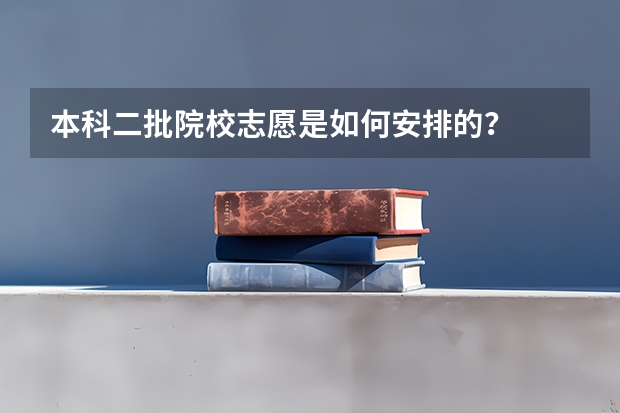 本科二批院校志愿是如何安排的？