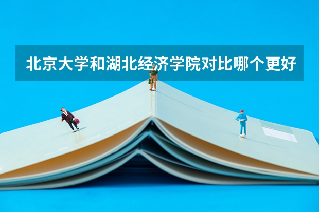 北京大学和湖北经济学院对比哪个更好