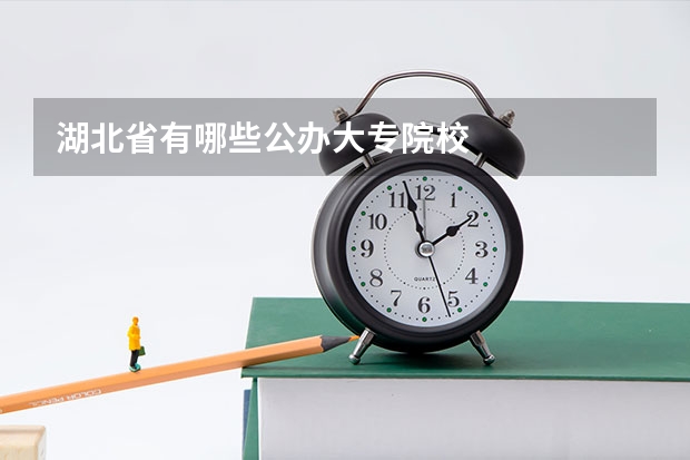 湖北省有哪些公办大专院校