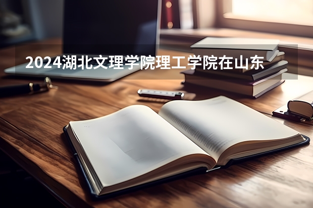 2024湖北文理学院理工学院在山东招生计划人数一览表