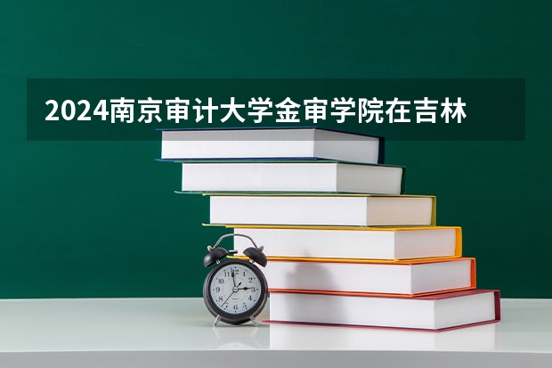 2024南京审计大学金审学院在吉林招生计划人数一览表