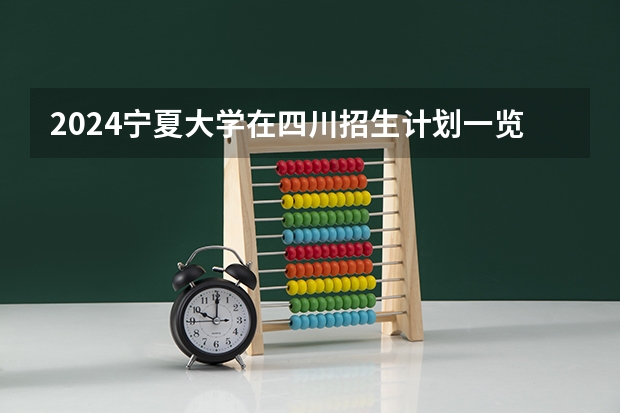 2024宁夏大学在四川招生计划一览表