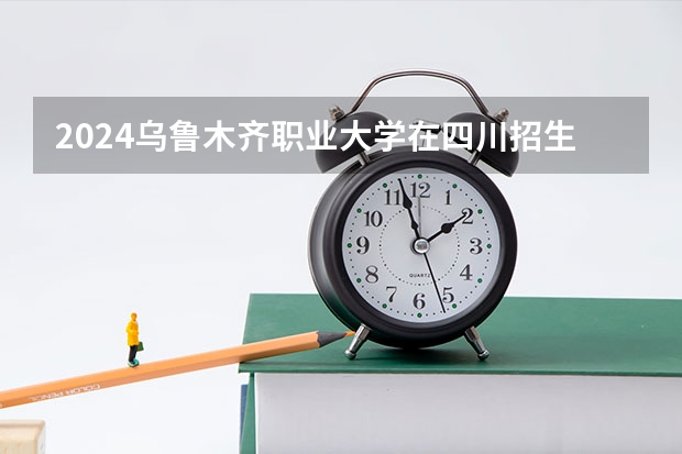 2024乌鲁木齐职业大学在四川招生计划一览表