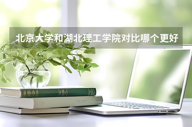 北京大学和湖北理工学院对比哪个更好