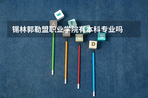 锡林郭勒盟职业学院有本科专业吗