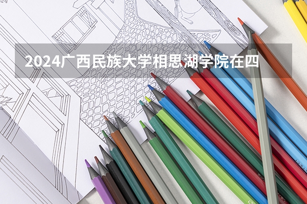 2024广西民族大学相思湖学院在四川招生计划一览表