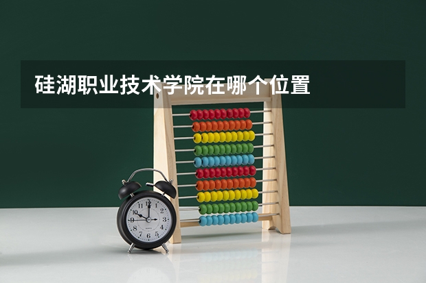 硅湖职业技术学院在哪个位置