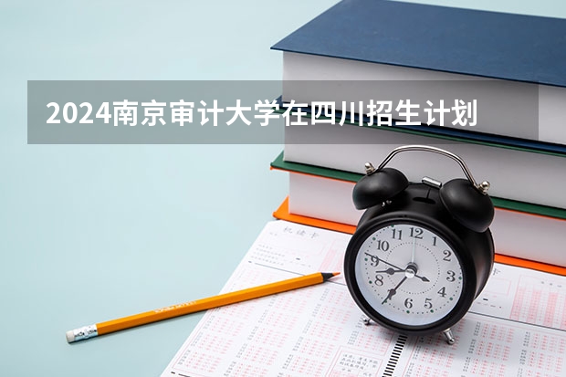 2024南京审计大学在四川招生计划一览表