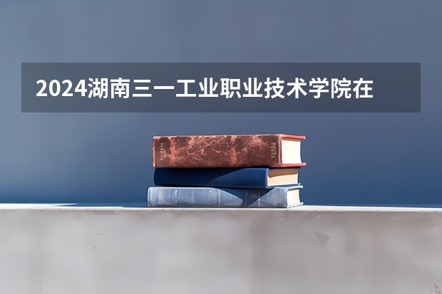 2024湖南三一工业职业技术学院在四川招生计划一览表