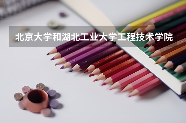 北京大学和湖北工业大学工程技术学院对比哪个更好