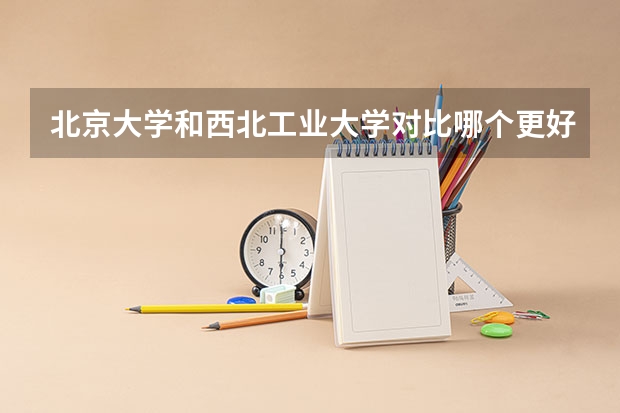 北京大学和西北工业大学对比哪个更好