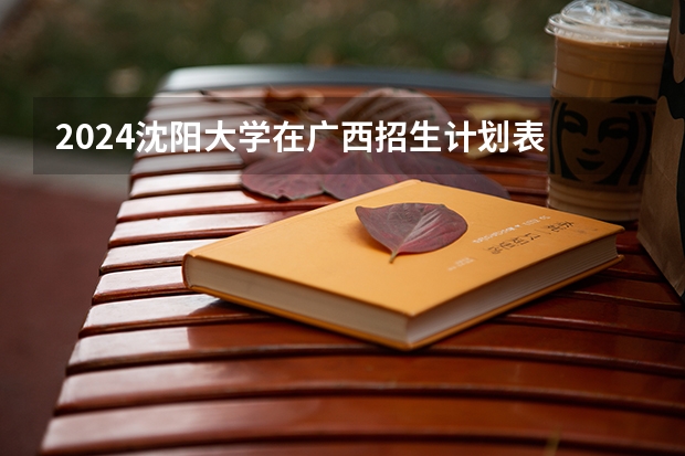 2024沈阳大学在广西招生计划表