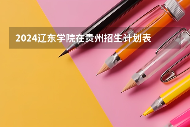 2024辽东学院在贵州招生计划表