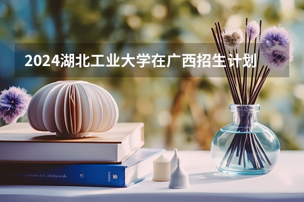 2024湖北工业大学在广西招生计划表