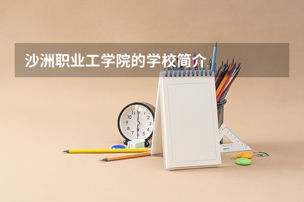 沙洲职业工学院的学校简介