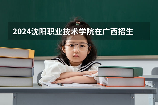 2024沈阳职业技术学院在广西招生计划表